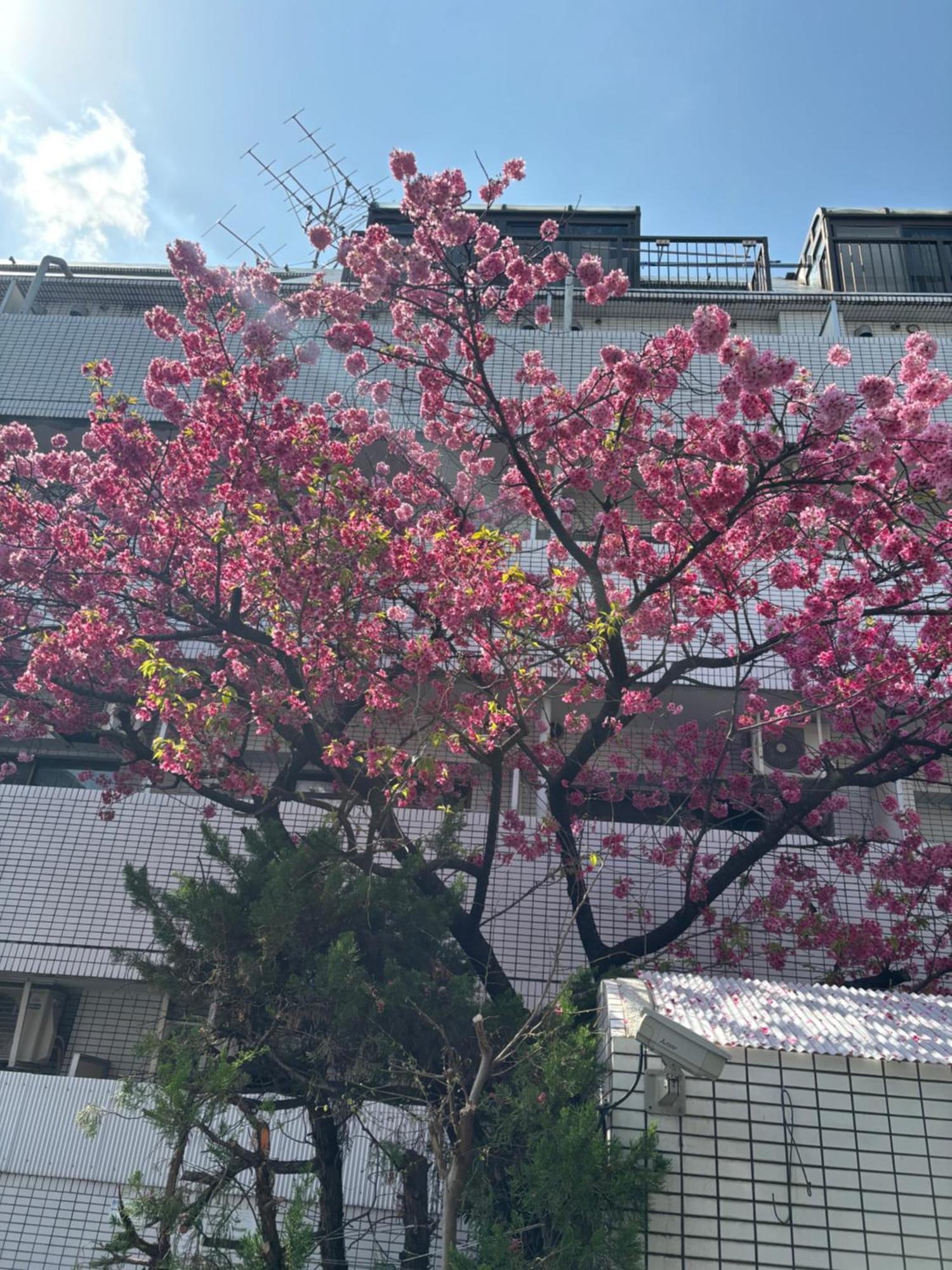 City Hotel Dolphin Tōkyō Extérieur photo